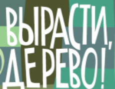 ВЫРАСТИ ДЕРЕВО!