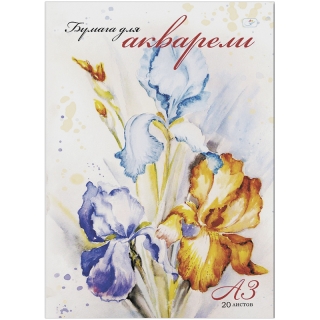 Папка для акварели 20л. А3, ArtSpace "Ирисы", блок рис.бум. 180г/м2