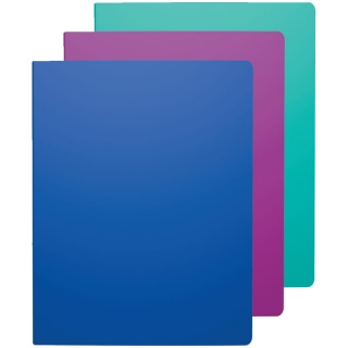 Папка с 40 вкладышами Erich Krause "Glance Vivid", 24мм, 500мкм, ассорти