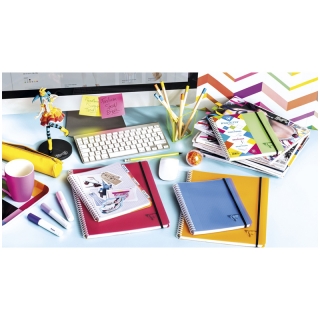 Бизнес-тетрадь Clairefontaine "Proactiv'Book", А5+, 90 г/м2, на гребне, клетка, 90 л., обложка пластик