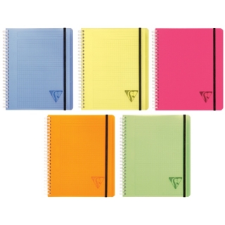 Бизнес-тетрадь Clairefontaine "Proactiv'Book", А5+, 90 г/м2, на гребне, клетка, 90 л., обложка пластик