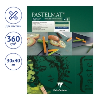 Альбом для пастели Clairefontaine "Pastelmat", 300*400мм, 360г/м2, склейка, 12 л, бархат, цветной блок