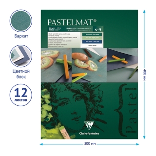 Альбом для пастели Clairefontaine "Pastelmat", 300*400мм, 360г/м2, склейка, 12 л, бархат, цветной блок