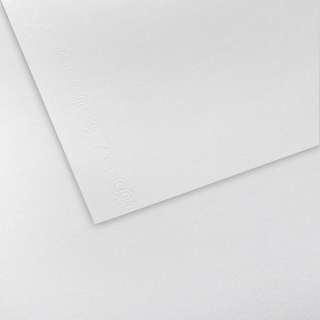 Бумага для черчения и графики Canson 1557 Dessin Ja 200г/кв.м 50*65см Малое зерно 125 л/упак