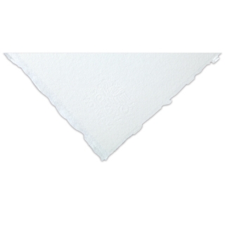 Бумага для акварели Winsor&Newton Professional 300г хлопок 56*76см Торшон 10л