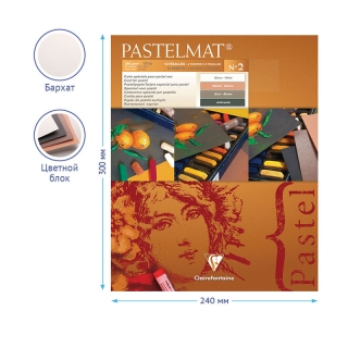 Альбом для пастели Clairefontaine "Pastelmat", 240х300 мм, 360г/м2, склейка, 12 л, бархат, цветной блок