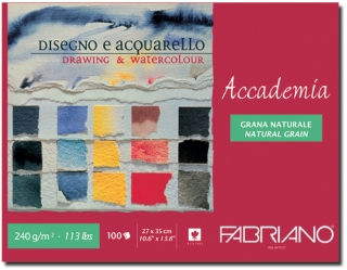 Альбом для рисования Fabriano Accademia 240г/м.кв 35x27см мелкозернистая 100л склейка по короткой стороне
