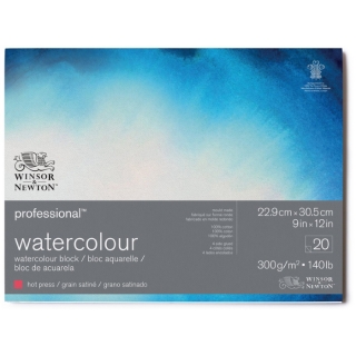 Альбом-склейка для акварели Winsor&Newton "Professional", 22,9x30,5 см, 300г/м2, горячий пресс, 100% хлопок, сатин, 20 л.