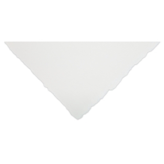 Бумага для акварели Winsor&Newton Professional 300г хлопок, 56*76см Фин 10л