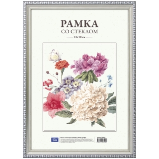 Рамка пластиковая 21*30см, OfficeSpace, № 9, серебро