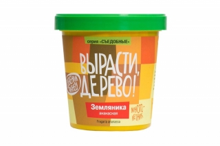 Набор ВЫРАСТИ ДЕРЕВО! zk-038 Земляника ананасная