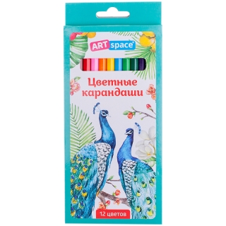 Карандаши ArtSpace "Птицы", 12цв., заточен., картон, европодвес