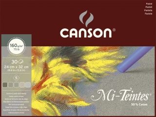 Альбом для пастели Canson Mi-Teintes 5 "коричневых" цветов 160г/кв.м 24*32см 30листов склейка