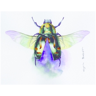 Бумага для акварели Clairefontaine "Etival", 560*760 мм, 300 г/м2, 10 л., холод.пресс.