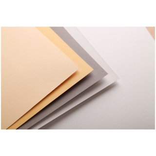 Альбом для пастели Clairefontaine "Pastelmat", 240х300 мм, 360г/м2, склейка, 12 л, бархат, цветной блок