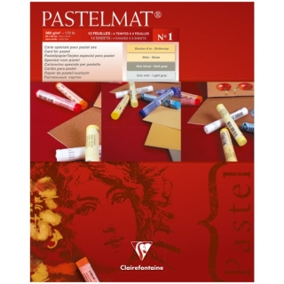 Альбом для пастели Clairefontaine "Pastelmat", 240х300 мм, 360г/м2, склейка, 12 л, бархат, цветной блок