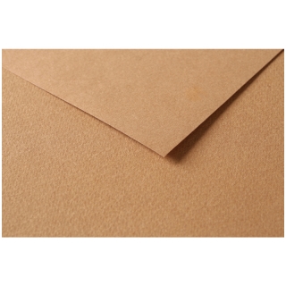 Цветная бумага 500х650мм Clairefontaine "Tulipe", 25л., 160г/м2, светло-коричневый, лёгкое зерно