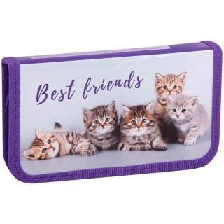 Пенал 1 отделение, 190*115 ArtSpace "Домашние питомцы", ламинация