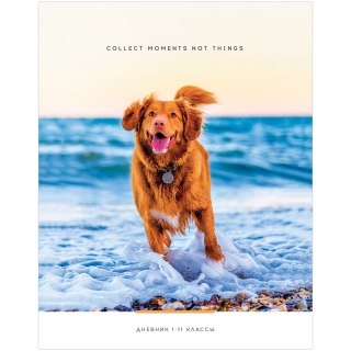 Дневник 1-11 кл. 40л. "Freedom", ВД-лак