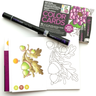 Раскраска-склейка Chameleon Nature - Природа