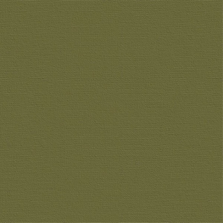 Бумага для пастели Палаццо Лилия Холдинг, 10 листов 500*700 мм, 160 г/м2, темные джунгли