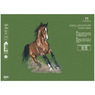 Бумага для пастели Палаццо Лилия Холдинг, 10 листов 500*700 мм, 160 г/м2, темные джунгли