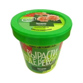 Набор ВЫРАСТИ ДЕРЕВО! zk-066 Гвоздика гибридная