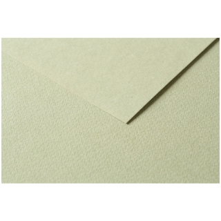 Цветная бумага 500х650мм Clairefontaine "Tulipe", 25л., 160г/м2, миндаль, лёгкое зерно