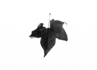 Карандаш чернографитный Derwent Onyx темный