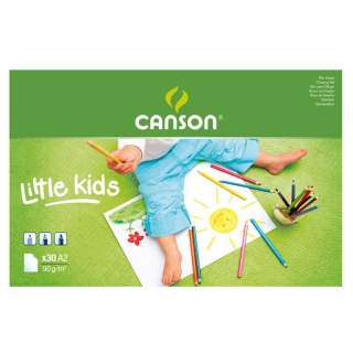 Альбом Canson Discovery&Learning 90г/кв.м 42*59.4см 20листов склейка