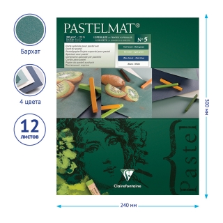 Альбом для пастели Clairefontaine "Pastelmat", 240х300 мм, 360г/м2, склейка, 12 л, бархат, цветной блок