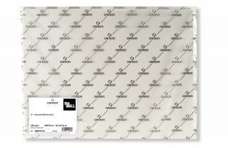 Бумага для маркера Canson The Wall 220г/кв.м 50х70см 25л/упак