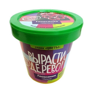 Набор ВЫРАСТИ ДЕРЕВО! zk-067 Глоксиния гибридная