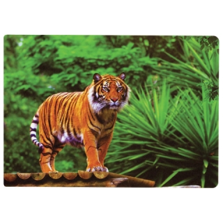 Настольное покрытие для письма и творчества Brauberg, размер А4, пластик, Тигр, 227255