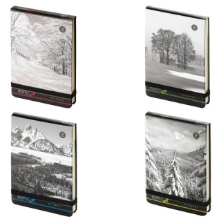 Бизнес-Блокнот А6, 100 л., твердая обложка картонная, открытие вверх, Bruno Visconti, Природа, 3-476/01