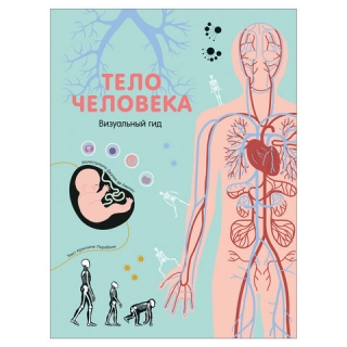 Тело человека. Визуальный гид, Перабони К., 36713