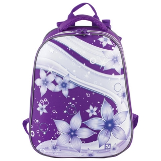 Ранец Brauberg Extra, 2 отделения, анатомическая спинка, дополнительный объем, для девочек, Шик ХИТ!, 39х28х19 см, 225425