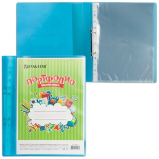 Папка для портфолио школьника, 2 кольца, 20 файлов, пластик, полупрозрачный, синяя, Brauberg, 126557