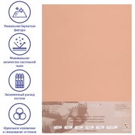 Бумага для пастели Pastelmat CLAIREFONTAINE, 360 г/кв.м, 50х70 см, 5 л