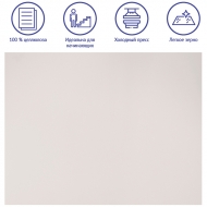 Бумага для акварели Clairefontaine "Etival", 500*650 мм, 300 г/м2, 25 л., торшон