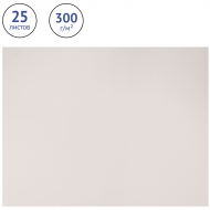 Бумага для акварели Clairefontaine "Etival", 500*650 мм, 300 г/м2, 25 л., торшон