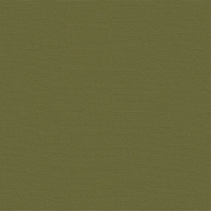 Бумага для пастели Палаццо Лилия Холдинг, 10 листов 500*700 мм, 160 г/м2, темные джунгли