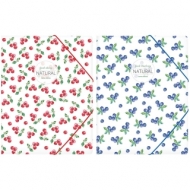 Папка на резинке Berlingo "Акварель" А4, 500мкм, рисунок