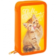 Пенал 2 отделения, 190*110 ArtSpace "Домашние питомцы", ламинация