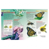 Энциклопедия детская. Насекомые. Диккинс Р., 17334